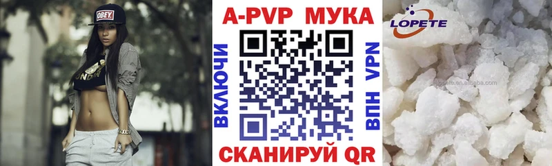 APVP СК  Кемерово 