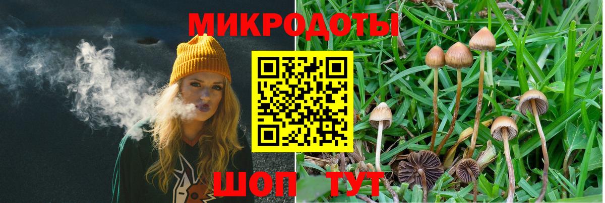 Кемерово  Галлюциногенные грибы Psilocybine cubensis  цены   Псилоцибиновые грибы ЛСД  Вход с VPN 